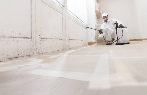 24/7 Emergency Black Mold Removal experts in Harrisburg, PA