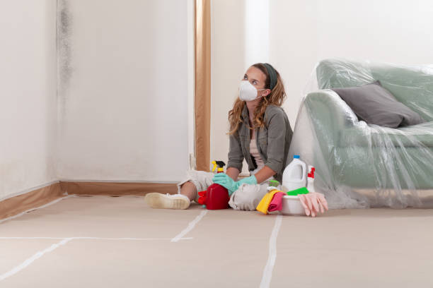 Reliable Black Mold Removal contractor in Harrisburg, PA by WQB Mold Removal